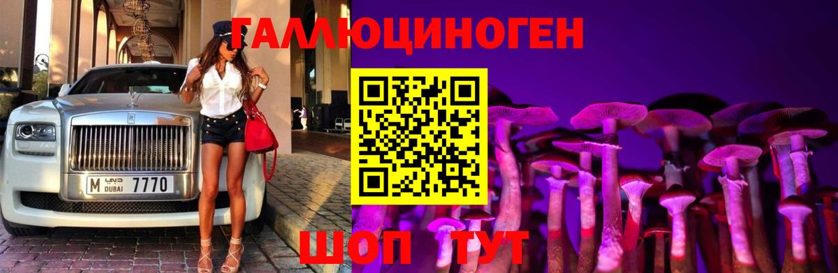 Псилоцибиновые грибы Psilocybe  где купить наркотик  Изобильный  Вход с VPN 